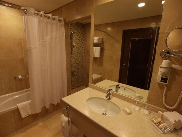 Hilton Garden Inn Riyadh Olaya image 28